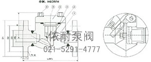 150-600Lb 旋启式锻钢法兰止回阀