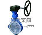 D71/371F46/F3对夹式衬氟蝶阀缩略图