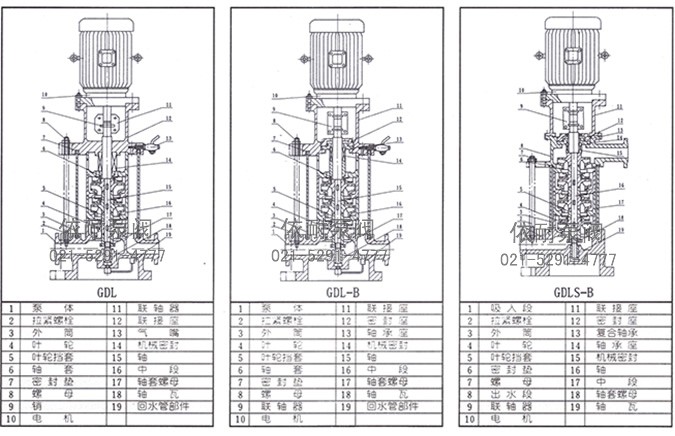 CGDL管道泵 结构简图