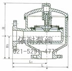 HX8型带接管吸入阀 DN50-250