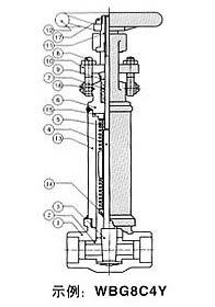 WJ/Z41H/Y锻钢波纹管阀门 结构图