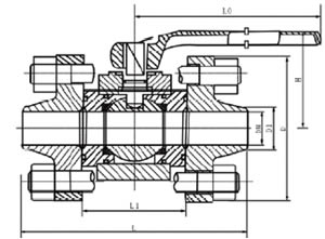 Q61 F/N-160/320 C/P高压焊接球阀 结构图