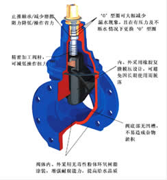 RVHX暗杆软密封闸阀 结构图