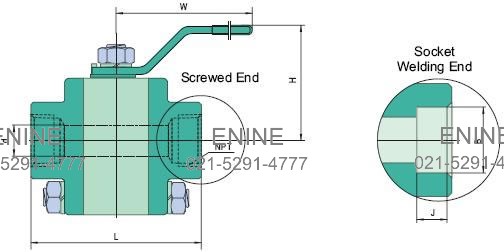 Dimensions and Weights of Three-Piece (3PC) Forged Floating Ball Valves