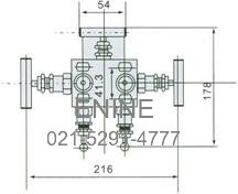 Structure of 1151 5-Valve Manifolds pic 2 