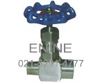 Union Bonnet Needle Valves