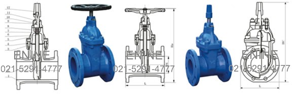 Non rising stem resilient seated gate valves