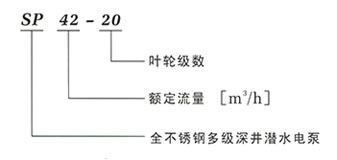 SP潜水泵 型号说明